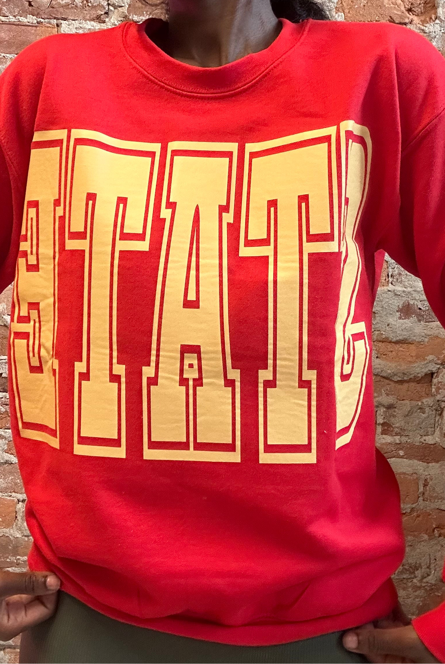 AMES Reversible Sweatshirt-Graphic Sweatshirt-Bad Habit-The Funky Zebra Ames, Women's Fashion Boutique in Ames, Iowa