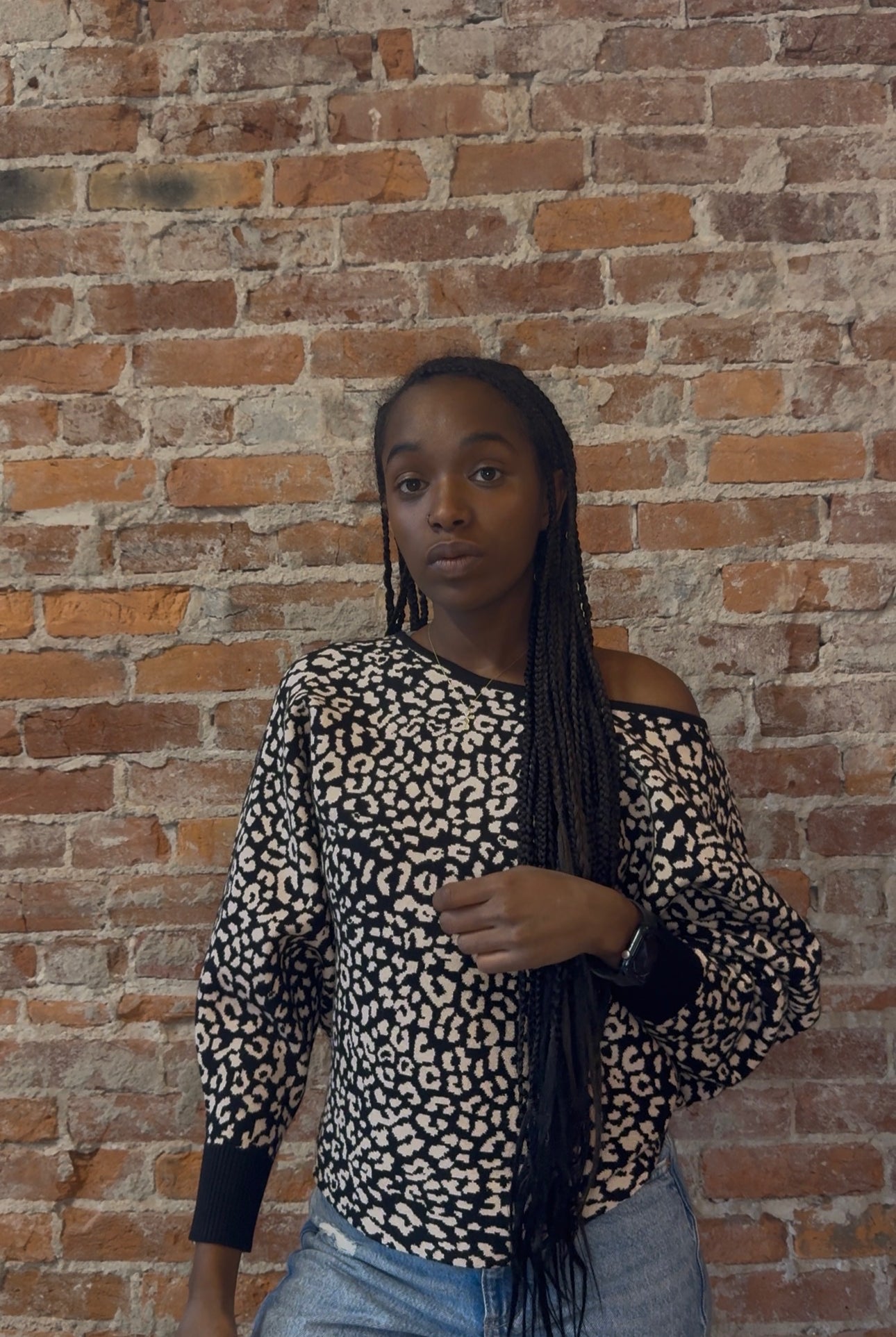 Ryu Cheetah Sweater-Sweaters-APNY-The Funky Zebra Ames, Women's Fashion Boutique in Ames, Iowa