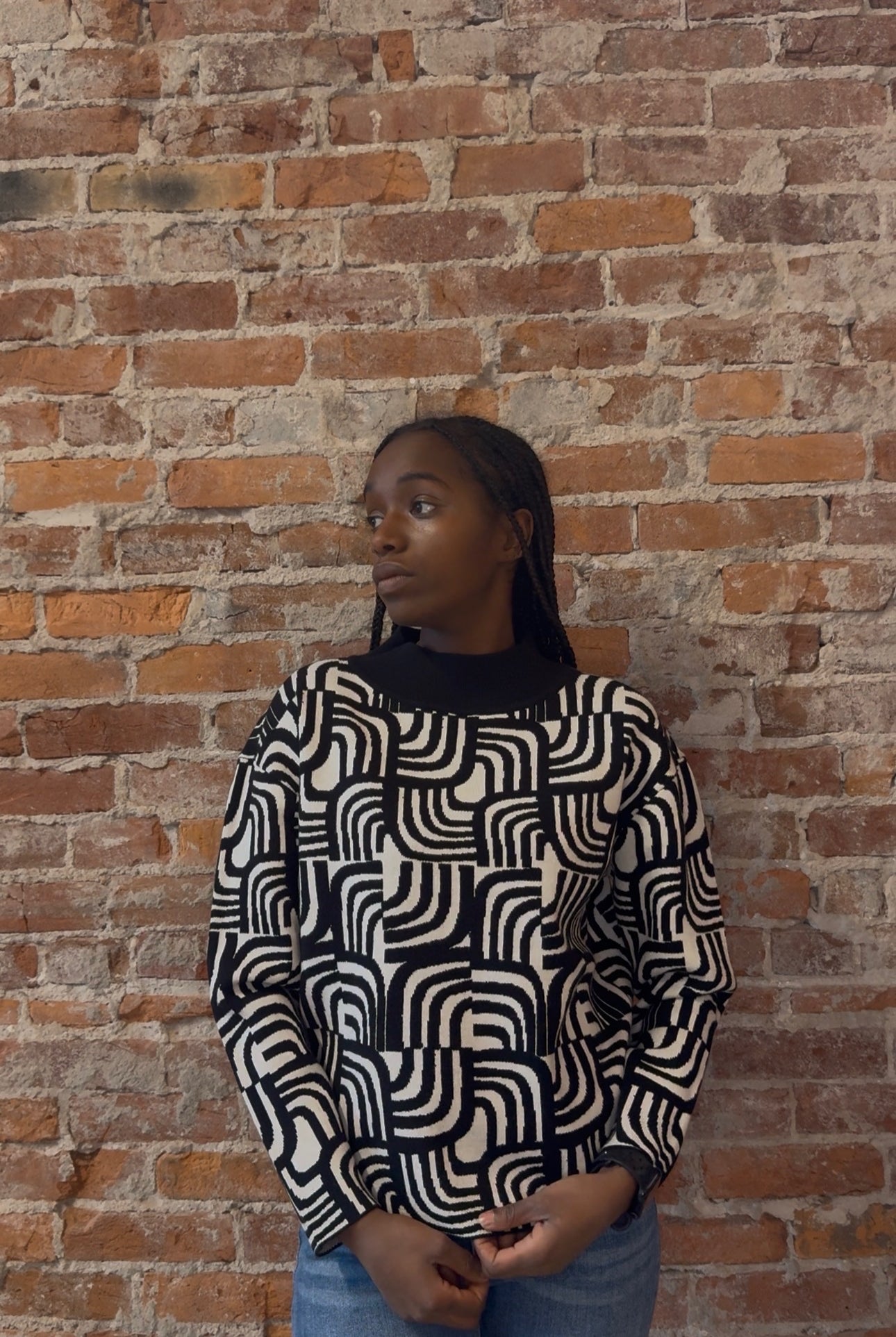 Estelle Black and White Sweater-Sweaters-APNY-The Funky Zebra Ames, Women's Fashion Boutique in Ames, Iowa