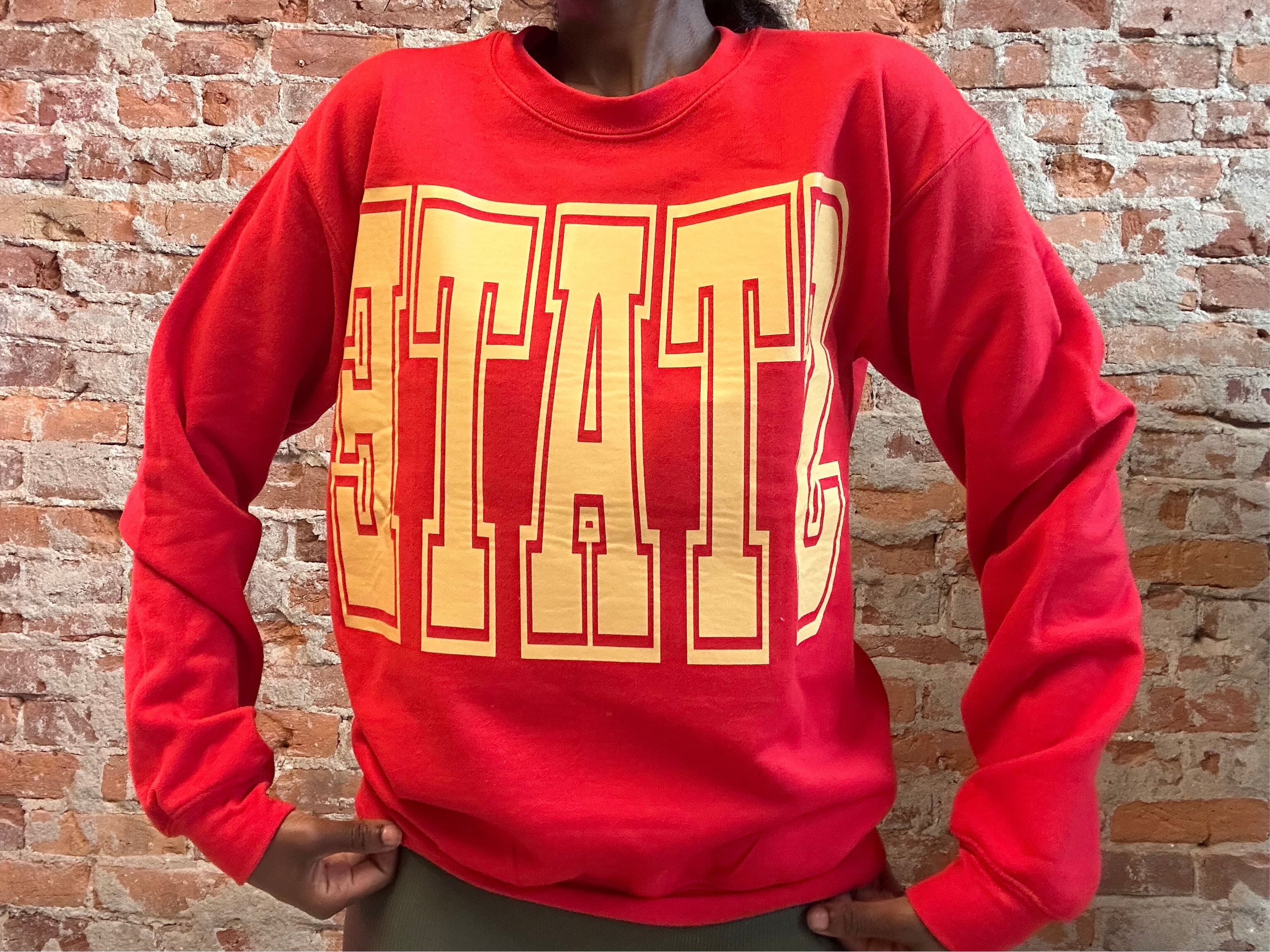 AMES Reversible Sweatshirt-Graphic Sweatshirt-Bad Habit-The Funky Zebra Ames, Women's Fashion Boutique in Ames, Iowa