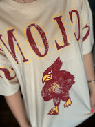 CYCLONES Tee-Graphic Tee's-Game Day Social-The Funky Zebra Ames, Women's Fashion Boutique in Ames, Iowa