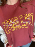 Iowa State Graphic Sweatshirt-Graphic Sweatshirt-Game Day Social-The Funky Zebra Ames, Women's Fashion Boutique in Ames, Iowa