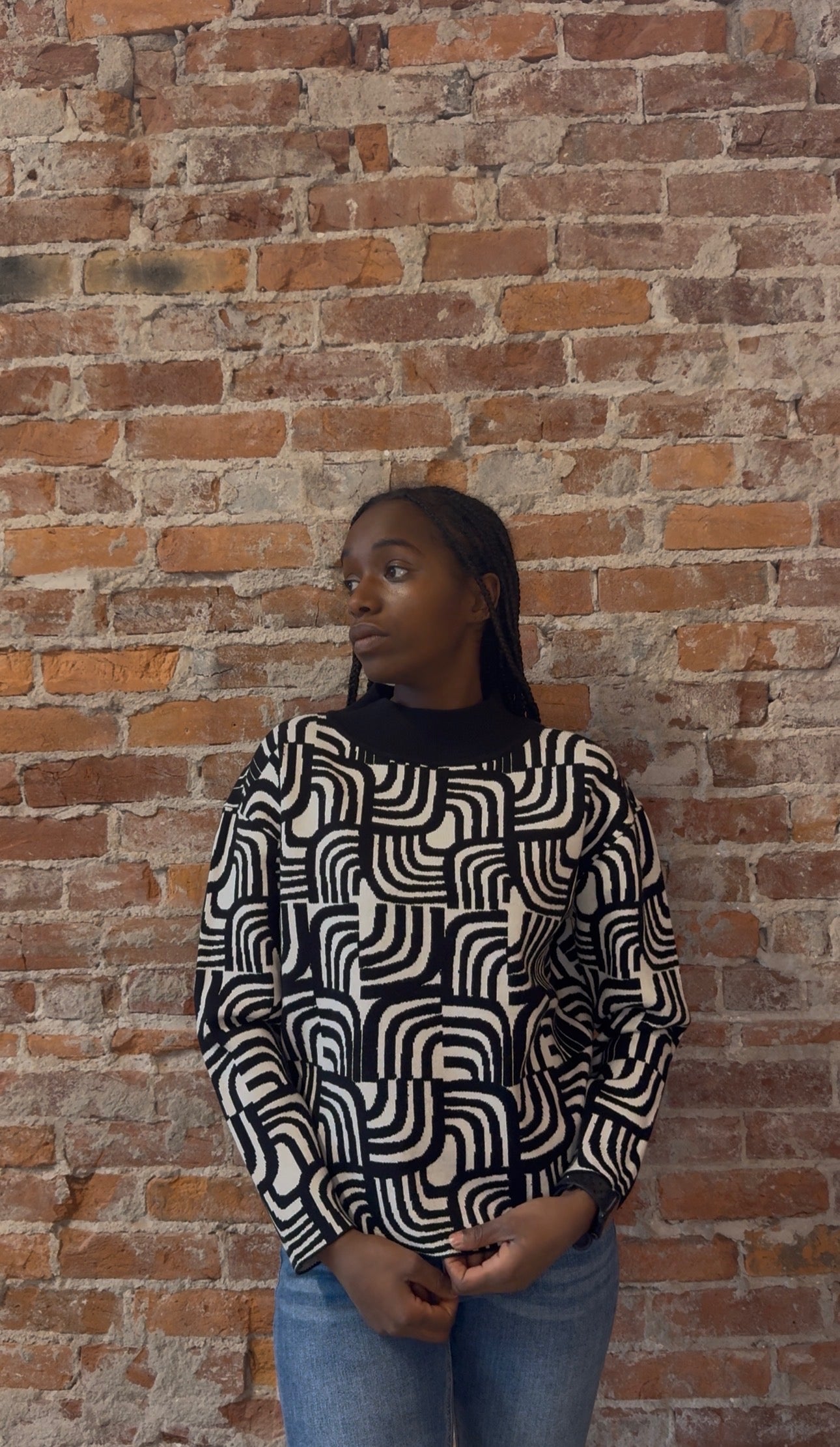 Estelle Black and White Sweater-Sweaters-APNY-The Funky Zebra Ames, Women's Fashion Boutique in Ames, Iowa