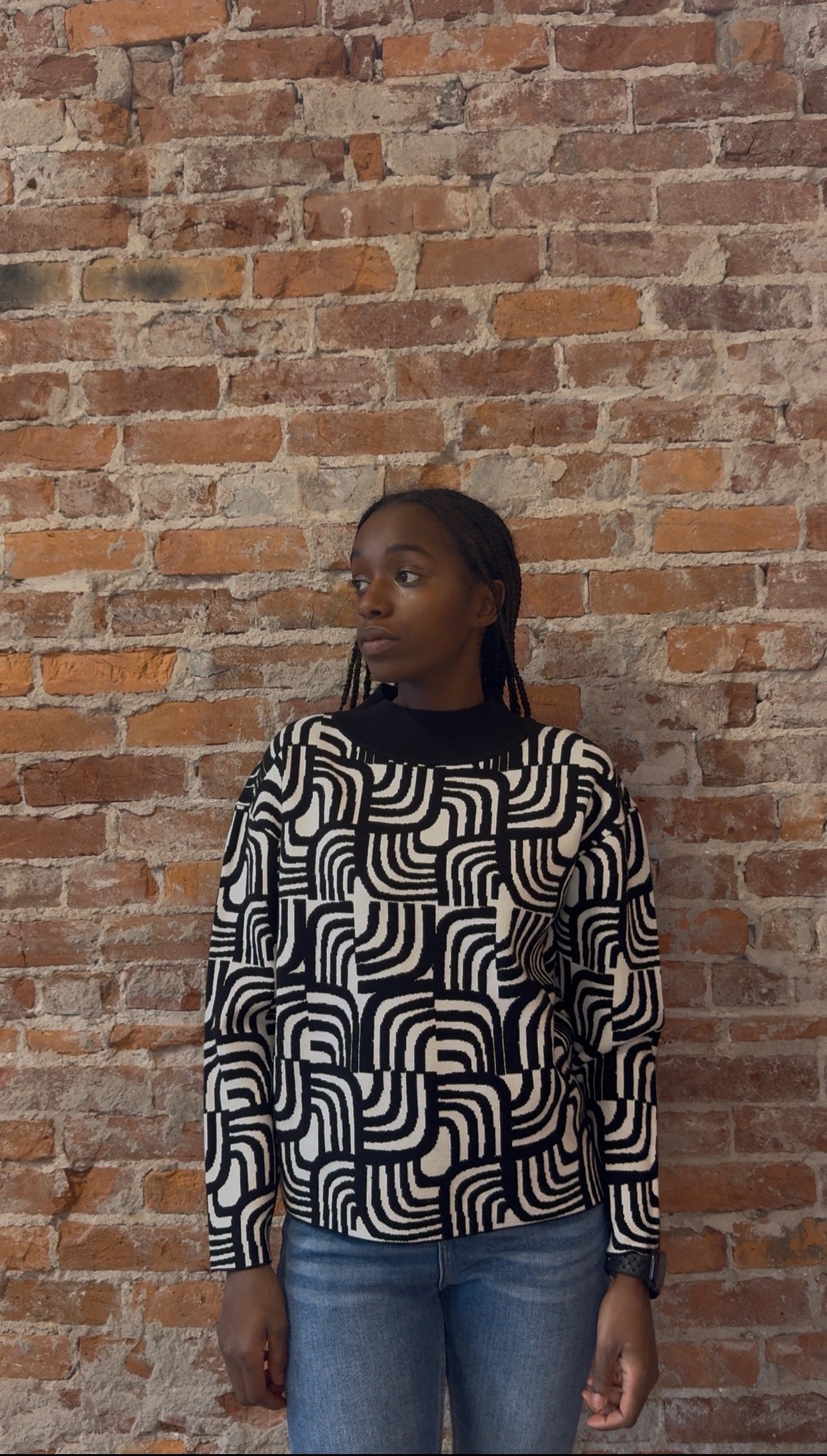 Estelle Black and White Sweater-Sweaters-APNY-The Funky Zebra Ames, Women's Fashion Boutique in Ames, Iowa